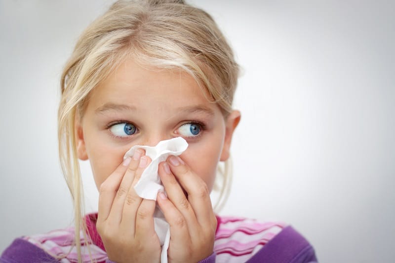 How Do I Remove Allergens From My House? Take Control