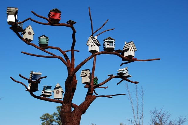 North Carolina Bird House Tree
