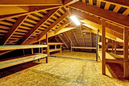 How to Remove Mold From Attic Plywood