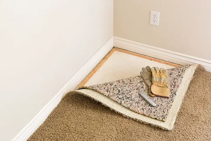 Cleaning mold on carpet.