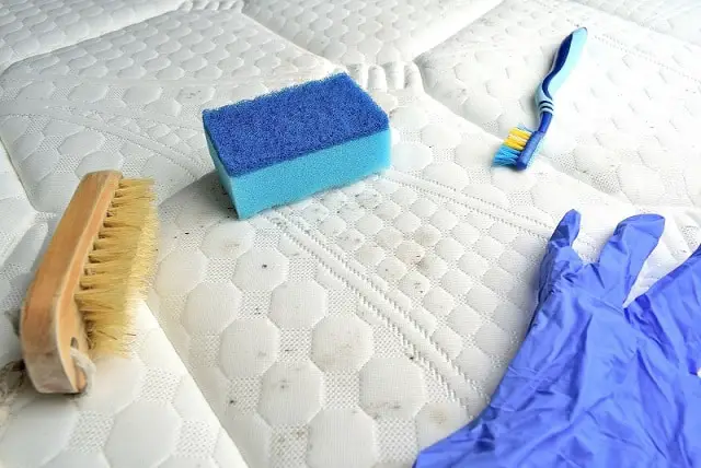 How to remove mold on a mattress