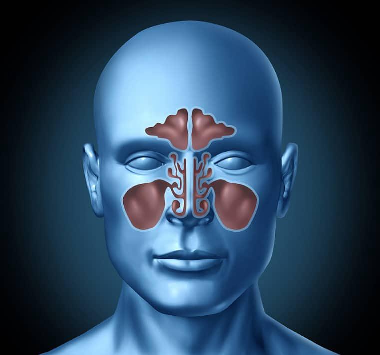 Does Humidity Affect Sinuses?